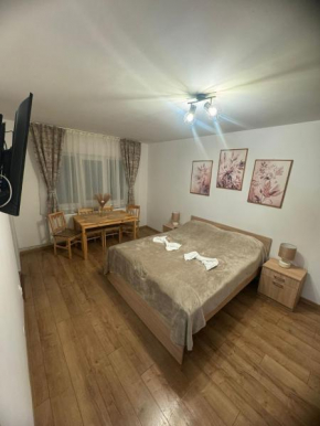 Harmony Residence Sfintu Gheorghe